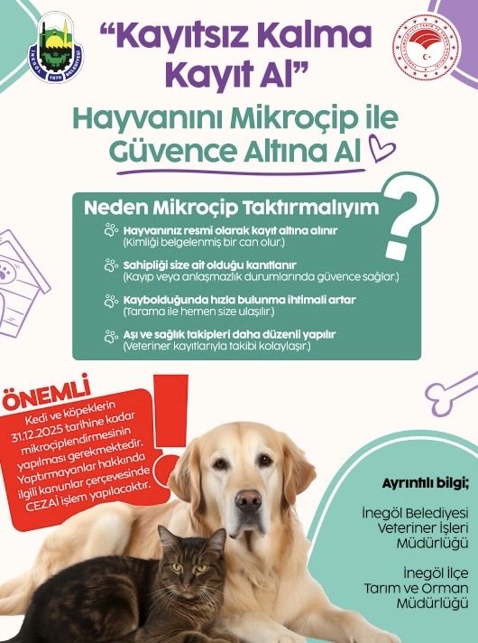 Hasan Aydın (@aydn_hasan1) on Twitter photo 