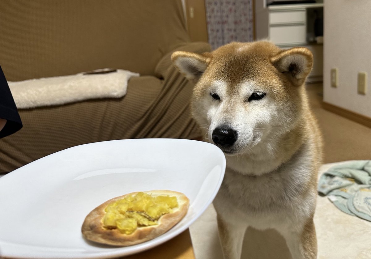 わん茶ちゃん キープ 💛🐯🍚🍓KAYO🌻💎🐰💚 on X