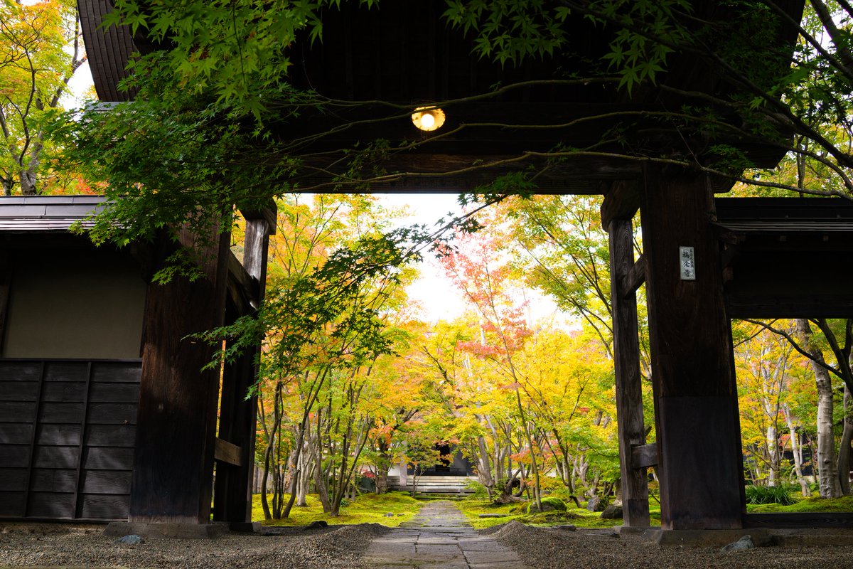 bouze9371's tweet photo. 飯山市、称念寺。
色付いてきました。
仕事の隙間を縫って寄り道。
#これソニーで撮りました
#飯山市
#称念寺
#dscrx1 https://t.co/h997YB2m5p