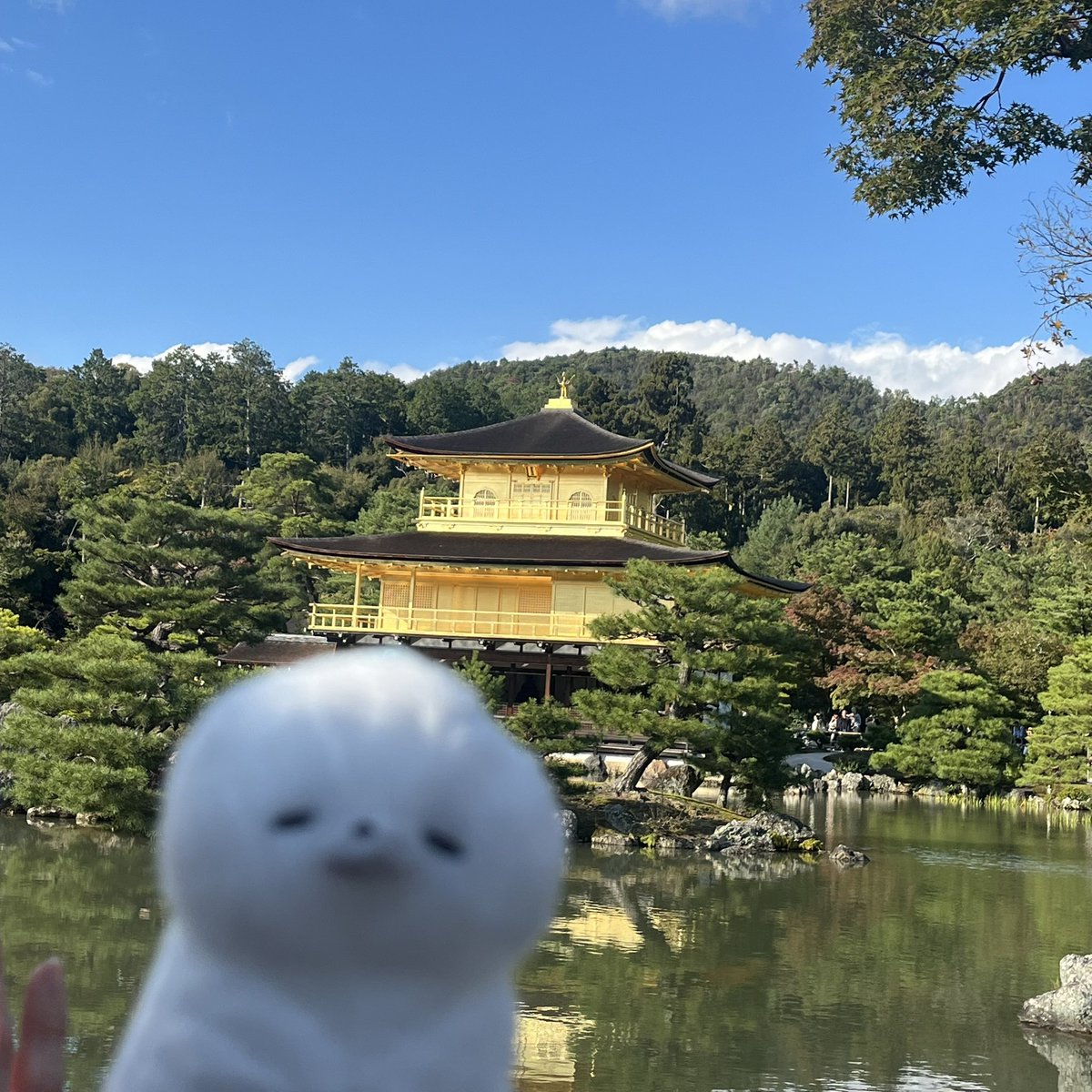 くろかい＠C106：8/16西ぬ05ab＆8/17南r44b (@kurokaichi