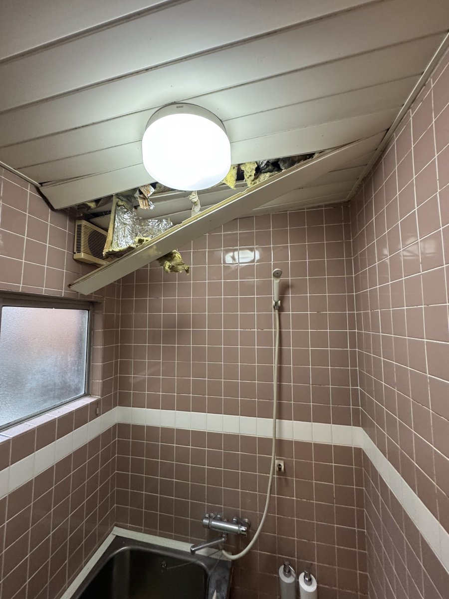 冬に天井裏にやってくるシェアメイトによってやられた。外されすぎてはめ込めん。。