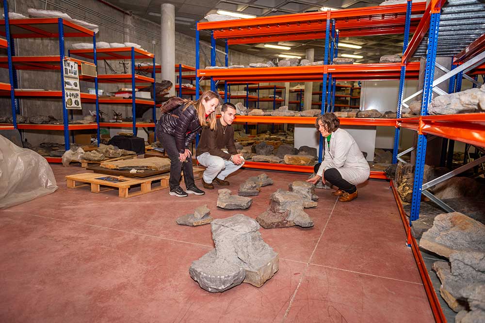 Laura Piñuela, investigadora del MUJA, mostrará la colección del Museo en la visita a los laboratorios y litoteca los días 8 y 15 de noviembre, a las 16:30 horas, en las actividades de la #SemanaDeLaCiencia

👉tinyurl.com/2c6pjs7m