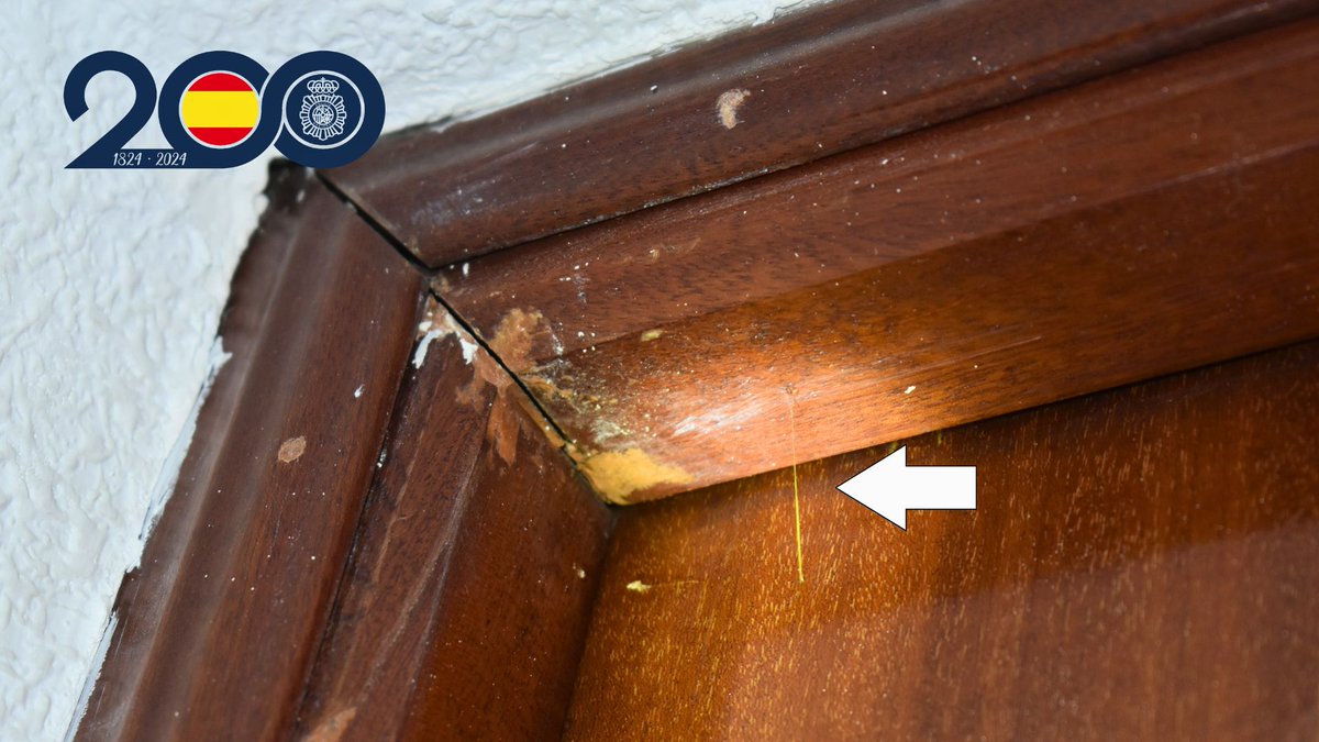 pagina66's tweet image. Tècniques silencioses que utilitzen els lladres i les mesures que sí funcionen per protegir-te

L’explicació, en la notícia de Pagina66
pagina66.com/art/133210/mar…

#Alcoi #Alcoy #robar #tècniques #furtar #protegir