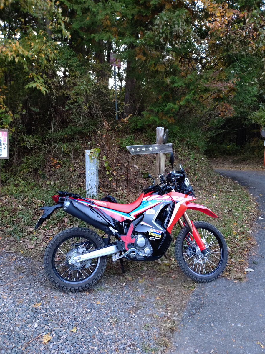 この間の御荷鉾の帰りに剣ヶ峰七重線を下って帰りましたが16時頃でしたので林道の中はもう真っ暗💦
やはり暗闇の林道は怖かったな〜😅
途中暗闇にトレイルランの人が居てビビった💦
