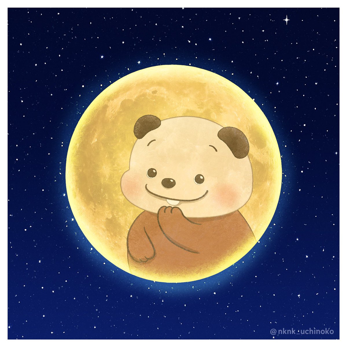 のこのこ うちのコ (@nknk_uchinoko) / Posts and Replies / X