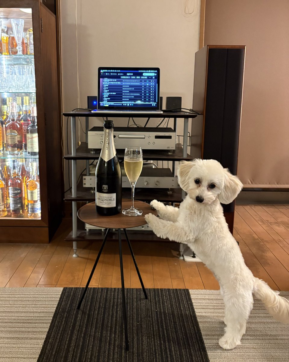 プリパパ (@puripapa) / Posts / X