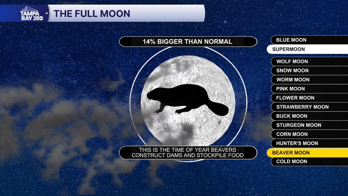 Greg Dee tweet media