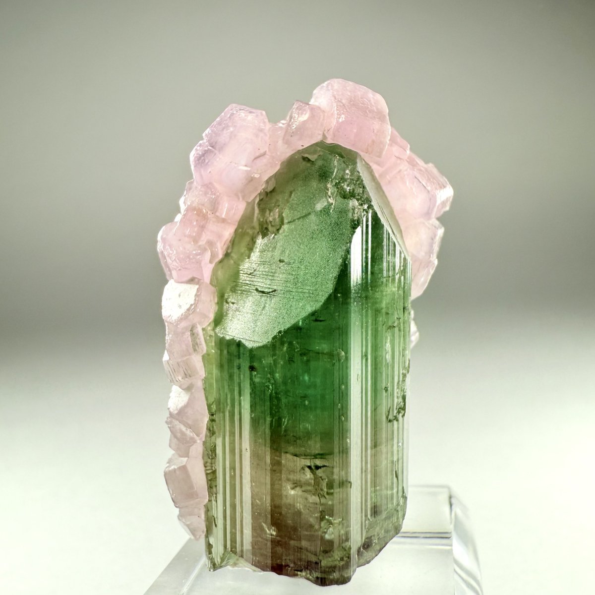 20分前に到着しました（笑）

桜を纏うトルマリン