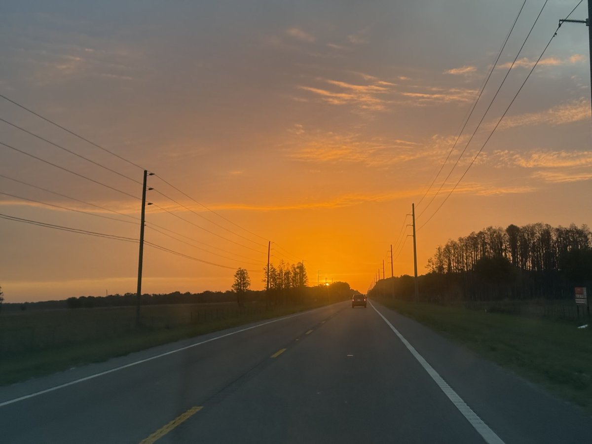 🇺🇸 Dave 🇺🇸 tweet media