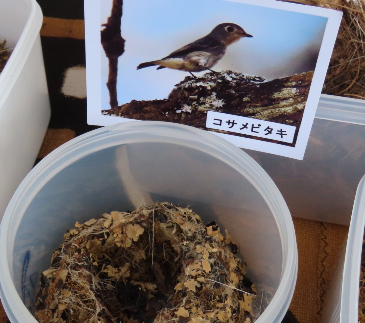 lycee リセ 藍川有紗 KR Lycee(リセ) on X