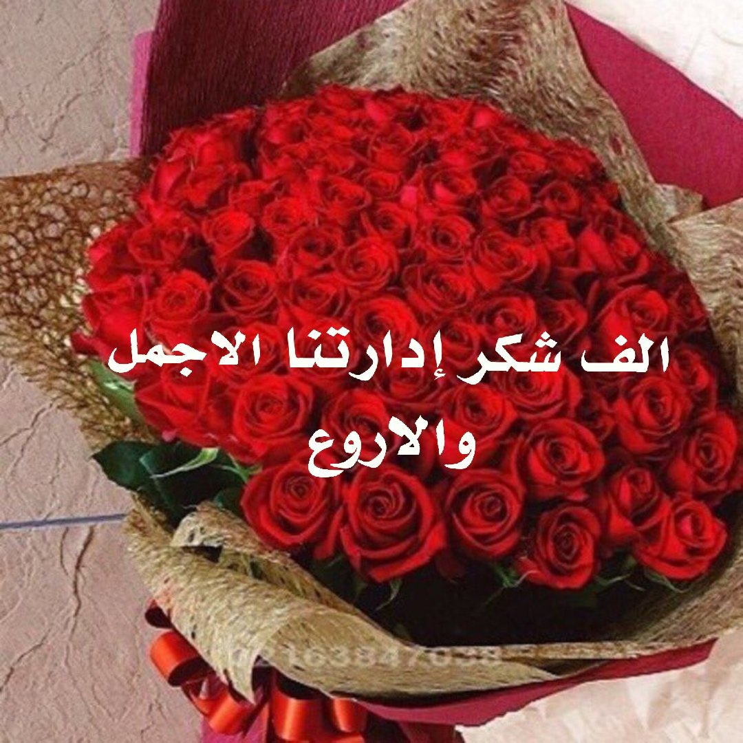 دخول حسب الفضاوة ❤️🔥Sw🦢an🦢❤️🔥 tweet media