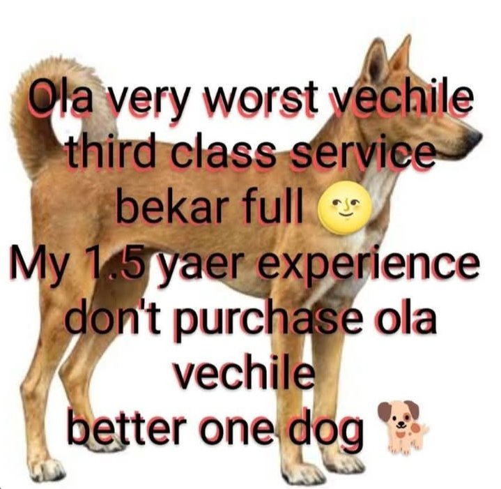 mohdmuneer94142's tweet image. Ola very worst vechile third class service bekar full My 1.5 yaer experience don&apos;t purchase ola vechile better one dog