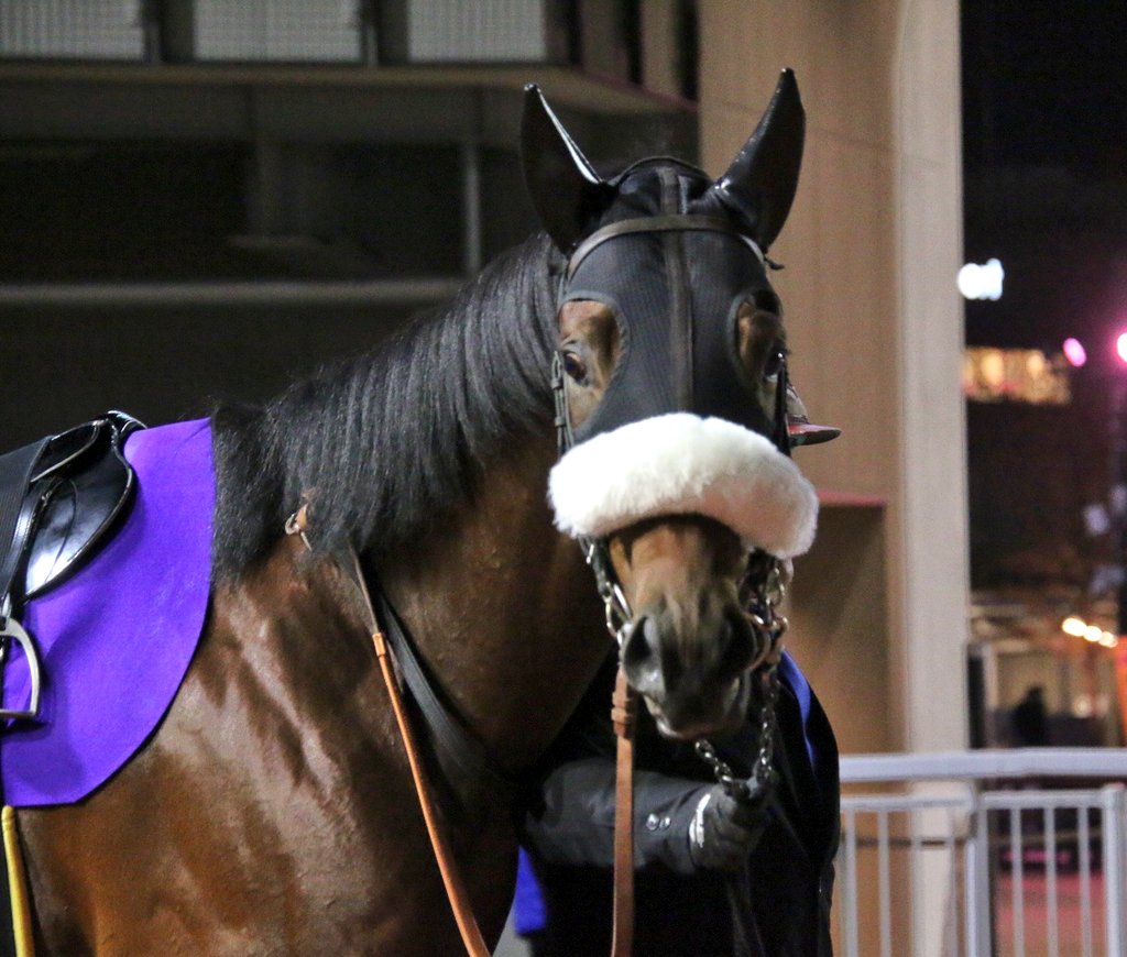 ツチノコ (@kawapurisan) / Posts / X