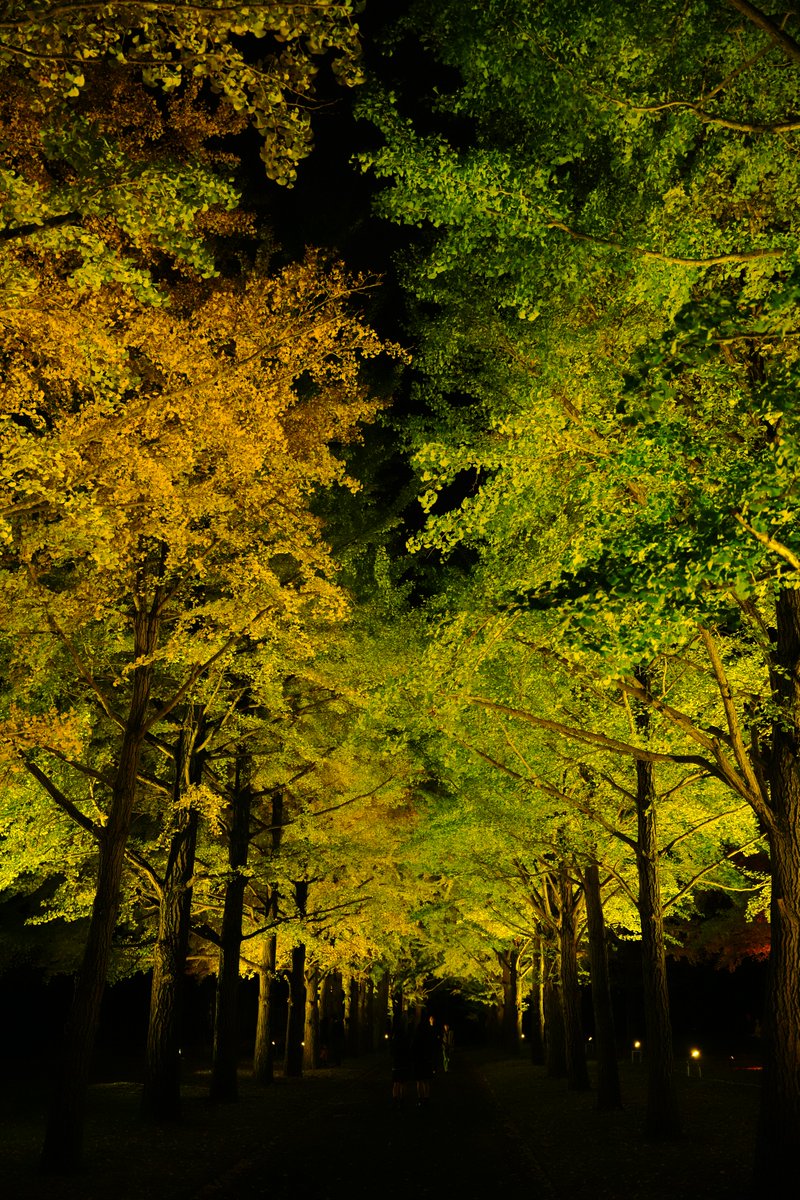 まさくん@ZX-14R (@ZX14R13) / Posts / X