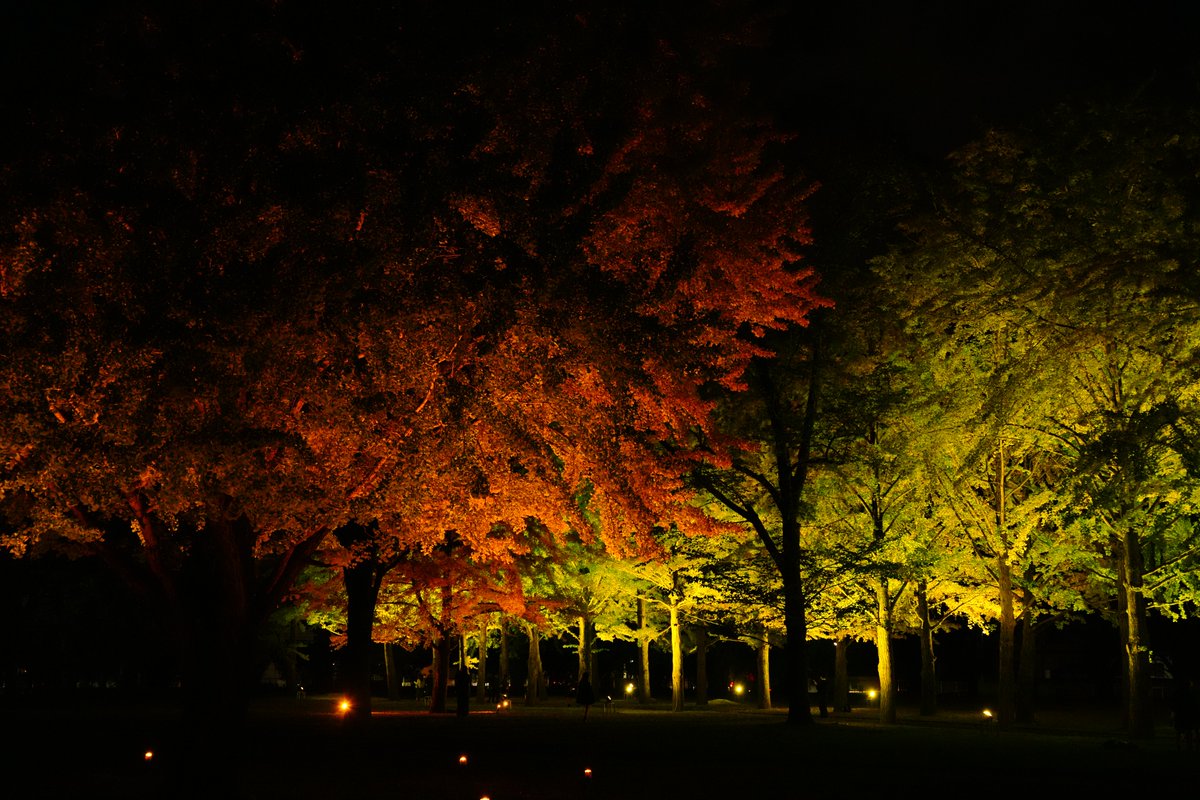 まさくん@ZX-14R (@ZX14R13) / Posts / X