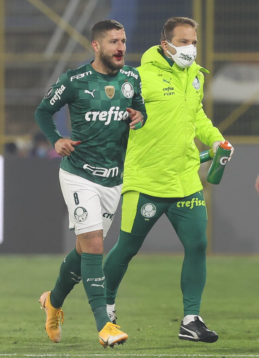 Gabriel Amorim tweet media