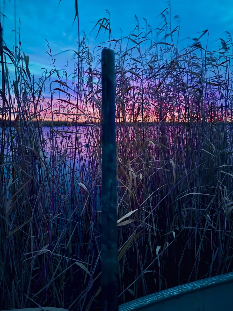 Duck blind sunrise