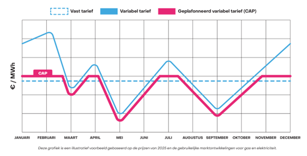 Luna_Comm's tweet photo. Mega lanceert haar nieuwe variabele energiecontract met maximumtarief: Mega Cap. 

Mega Cap is goedkoper dan een vast contract en beschermt tegen plotse prijsstijgingen dankzij het prijsplafond. Een primeur op de Belgische energiemarkt.

Lees hier: https://t.co/NsYlgw5TVM https://t.co/tyAk8gqMRZ