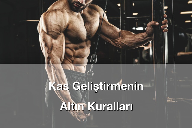 Kas Geliştirme Sürecinde Dikkat Etmeniz Gerekenler
bilgi.net/2025/11/kas-ge…

#bilgi #bilgisitesi #bilginet #spor