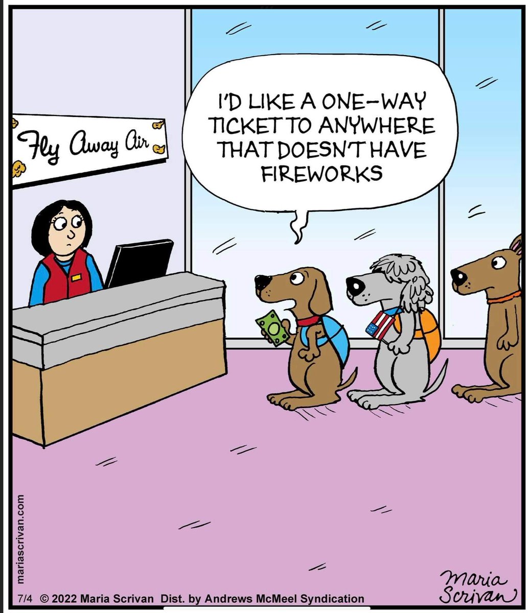 We really do wish we had the power to ban them all! 
Check all gates/fences are secured as even the bravest dog can bolt.
Chip details up to date and collars with ID tags on even for a toilet break.

#BonfireNight #dogs #fireworks #November5th