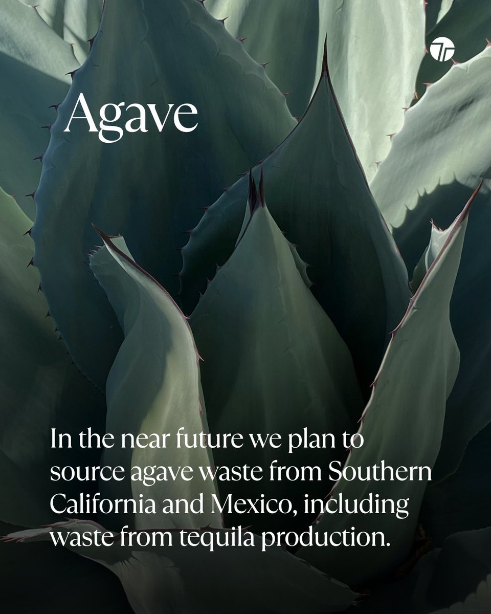 TechTeysha's tweet image. Teysha Technologies’ KarmaCane, is a sugar-derived biopolymer made from renewable agricultural by-products.

Our range of agricultural waste includes potato peel from Ireland and cassava peel from Southeast Asia, both of which would have been discarded as waste. 

#PlasticFree