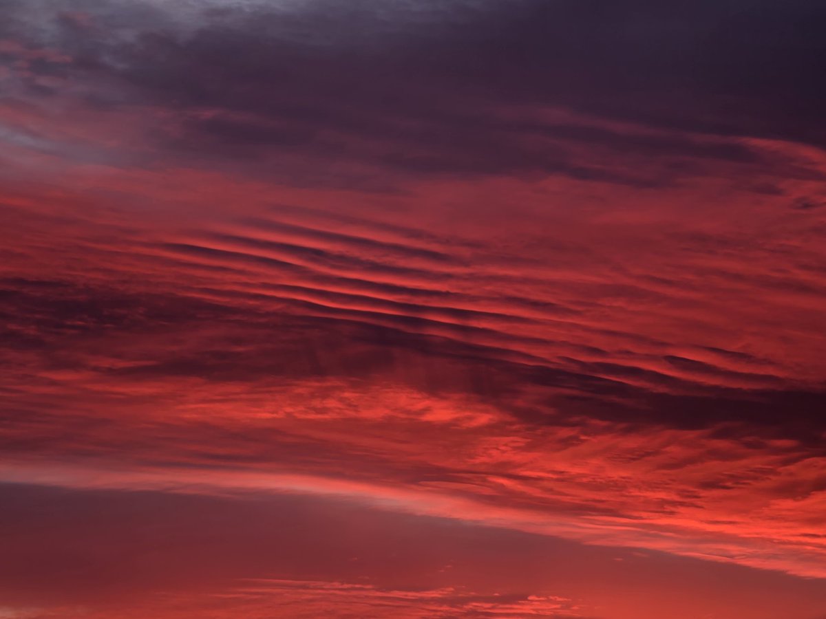 Casey Stegman tweet media