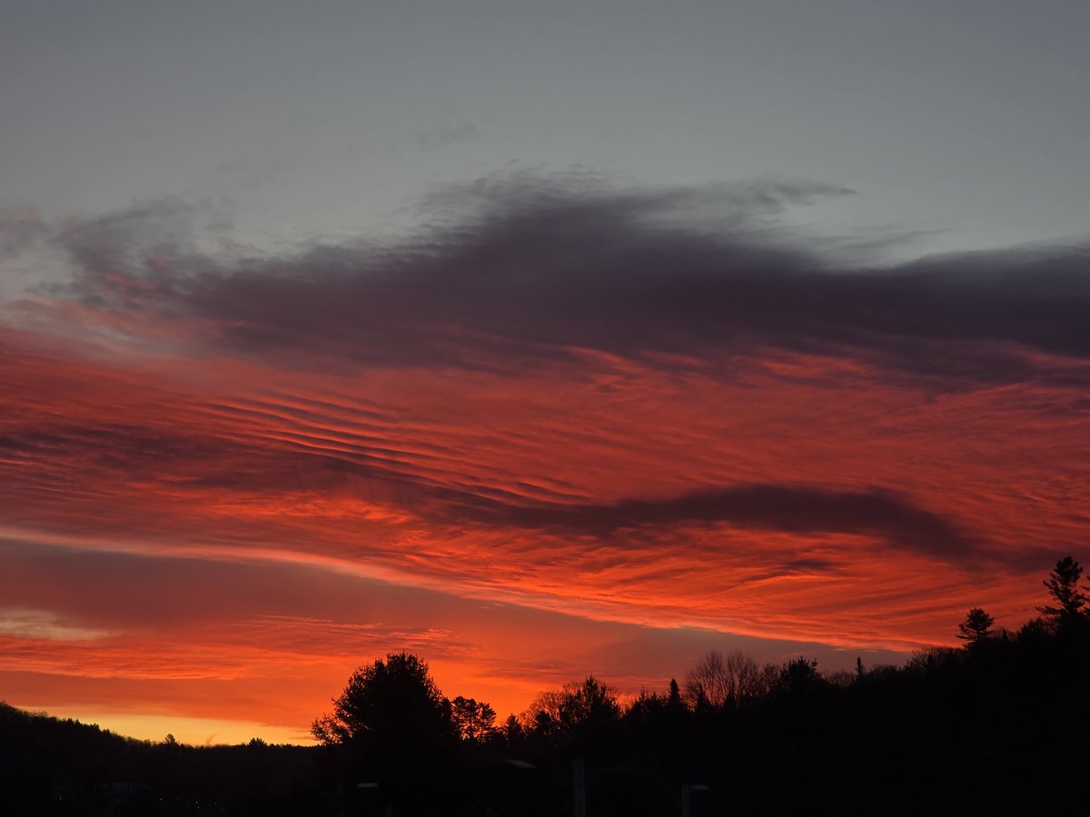 Casey Stegman tweet media