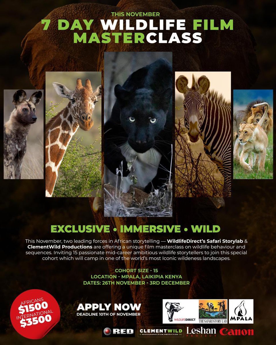 WildlifeDirect tweet media