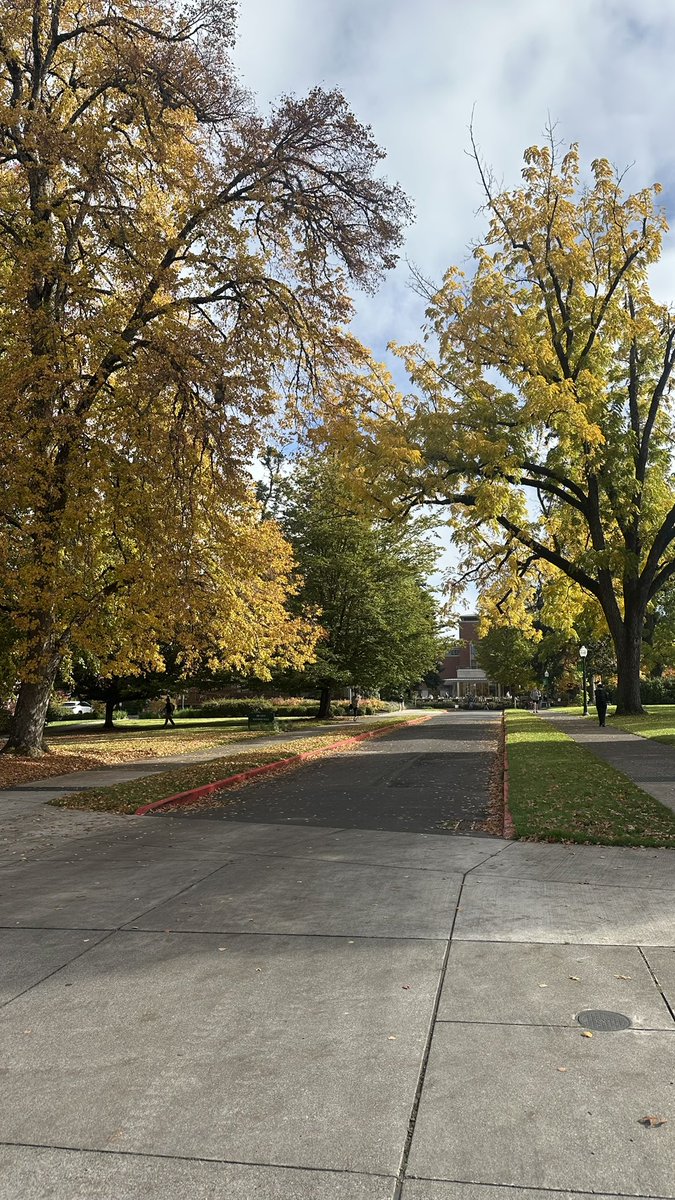 NotMisuses's tweet image. Thank you Ken Carson