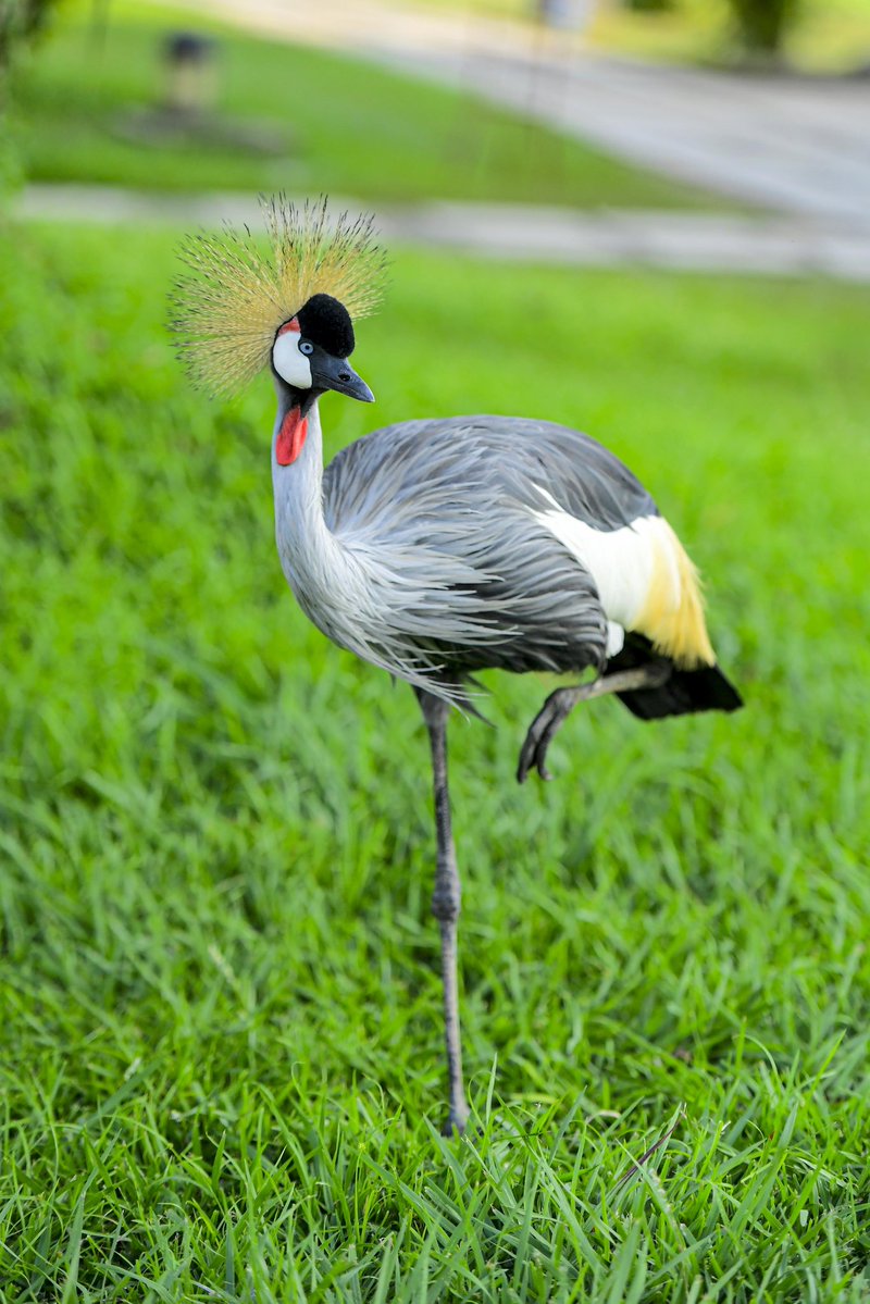 The Venom tweet media