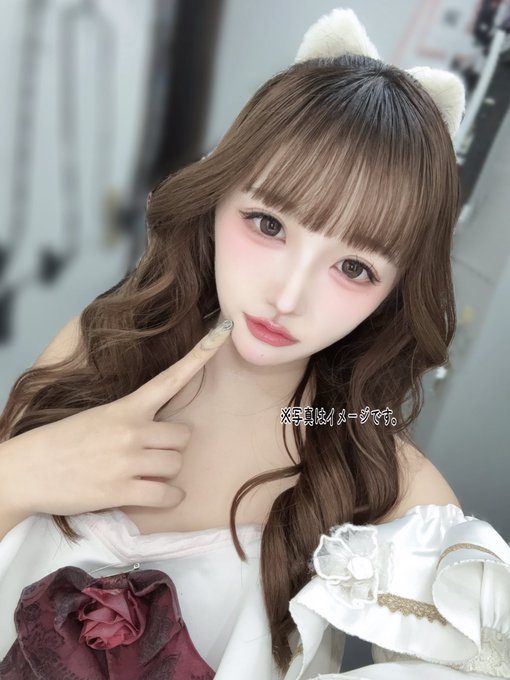 ぷりみゅーむのツイート