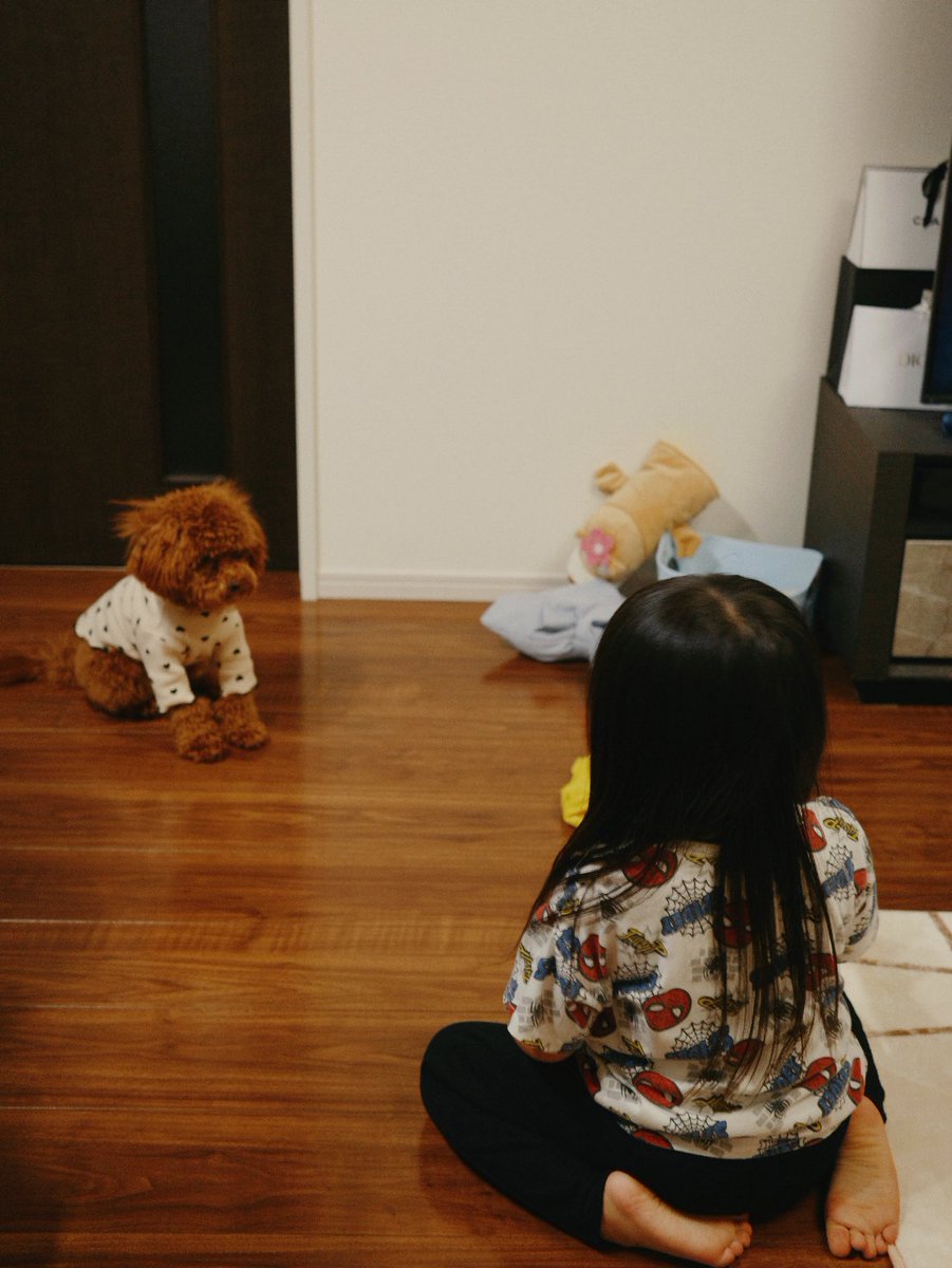 t_t (@tahataka_ama) on Twitter photo 