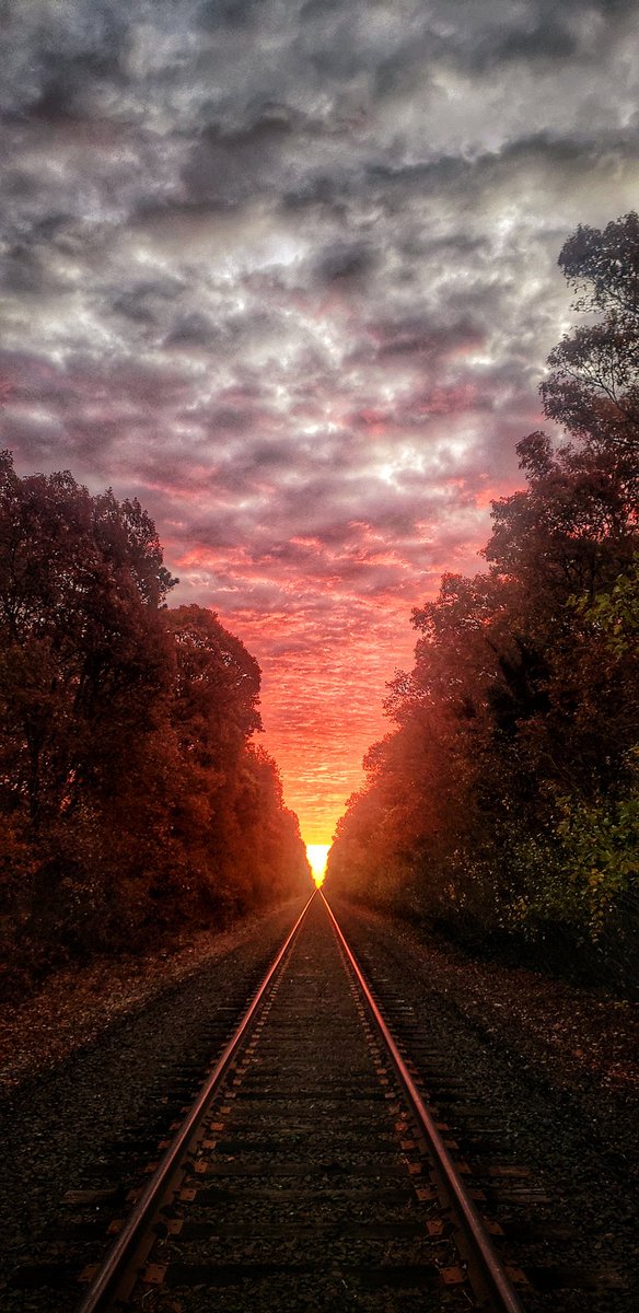 Sapo Man Photography 😃 tweet media