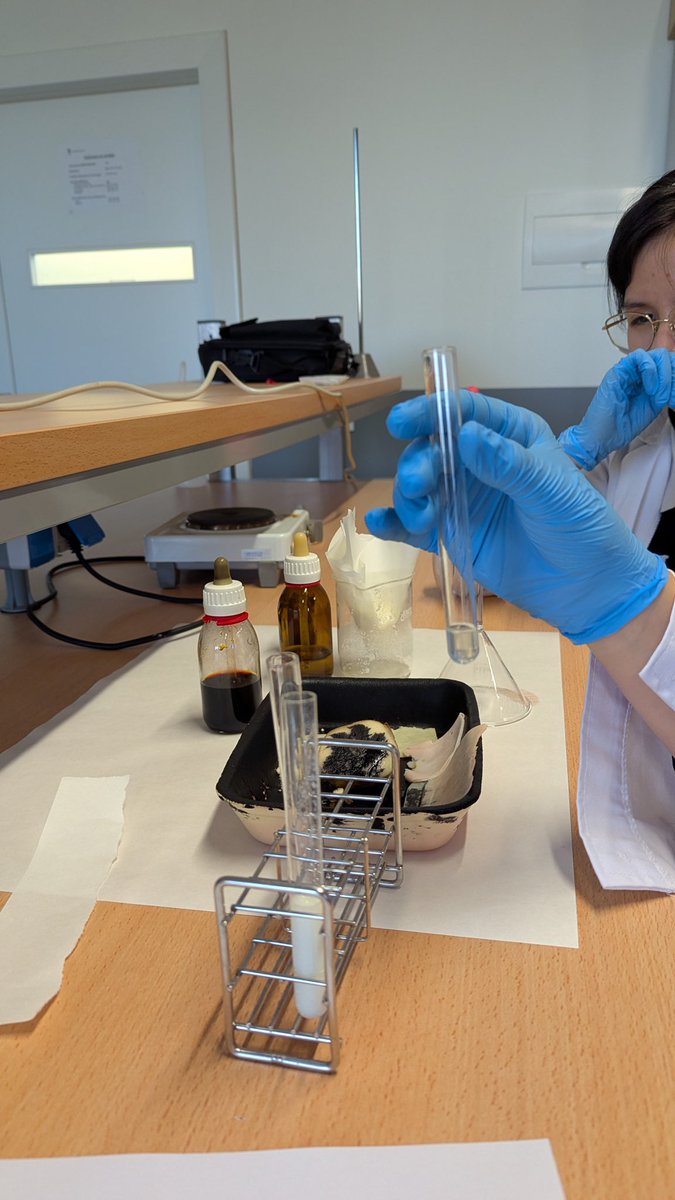 🍔🔬🚀 ¡Primer taller universitario del curso 2025/2026! - “Identificación de compuestos ‘extraños’ en alimentos”🧪🔍
#BIE #BIE1 #tallerquímica #aditivos #somosBIEsomosCiencia #ieslossauces #benavente #unileon <a href="/sauces49000391/">IES LOS SAUCES</a> <a href="/unileon/">Universidad de León</a>