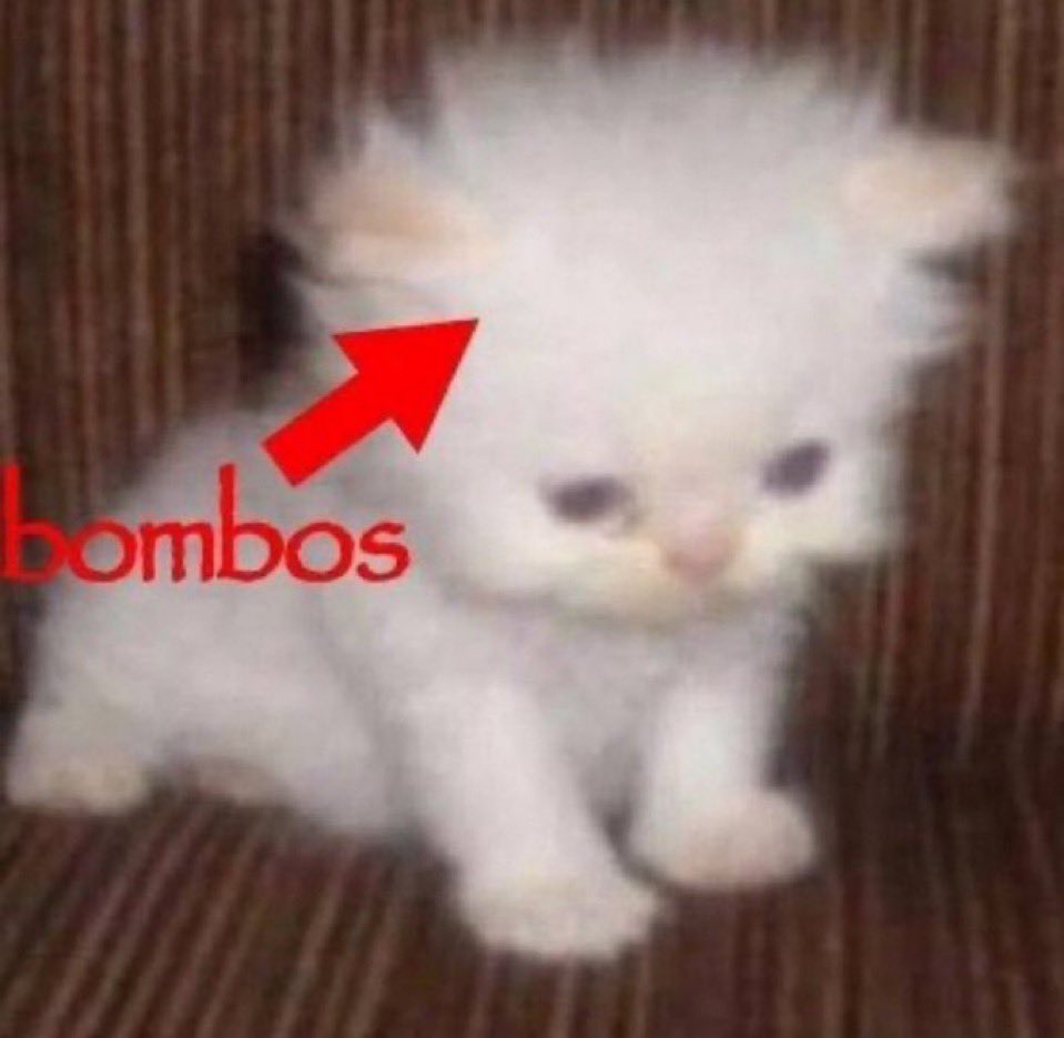 Mikroorjinalde 87 netle 30. Olmuşum