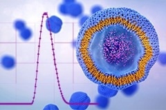 NewsLifeScience's tweet image. Traditional DLS can’t handle cloudy or flowing nanoparticle samples, but NanoFlowSizer changes the game with real-time, inline size measurement - no dilution needed! 🧪🔬 Curious how it works? Read more: news-medical.net/whitepaper/202… #PharmaInnovation #Nanotechnology