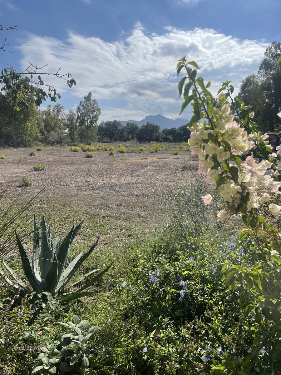 SkyX_Network's tweet image. Farmers don’t just need weather forecasts — they need local truth.

SkyX’s DePIN brings hyperlocal weather data on-chain, helping farmers make smarter decisions on irrigation, pest control, and harvest timing.

From soil to cloud ☁️ — precision powered by people. 

#AgriTech…