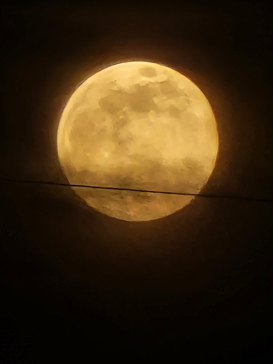 พระจันทร์คืนนี้..