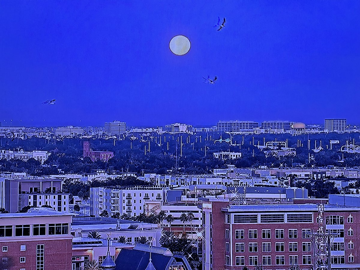 ToddLChappel's tweet photo. Wednesday morning’s #Supermoon over Tampa. Also called the #SuperBeaverMoon https://t.co/ce0AkIAeDY