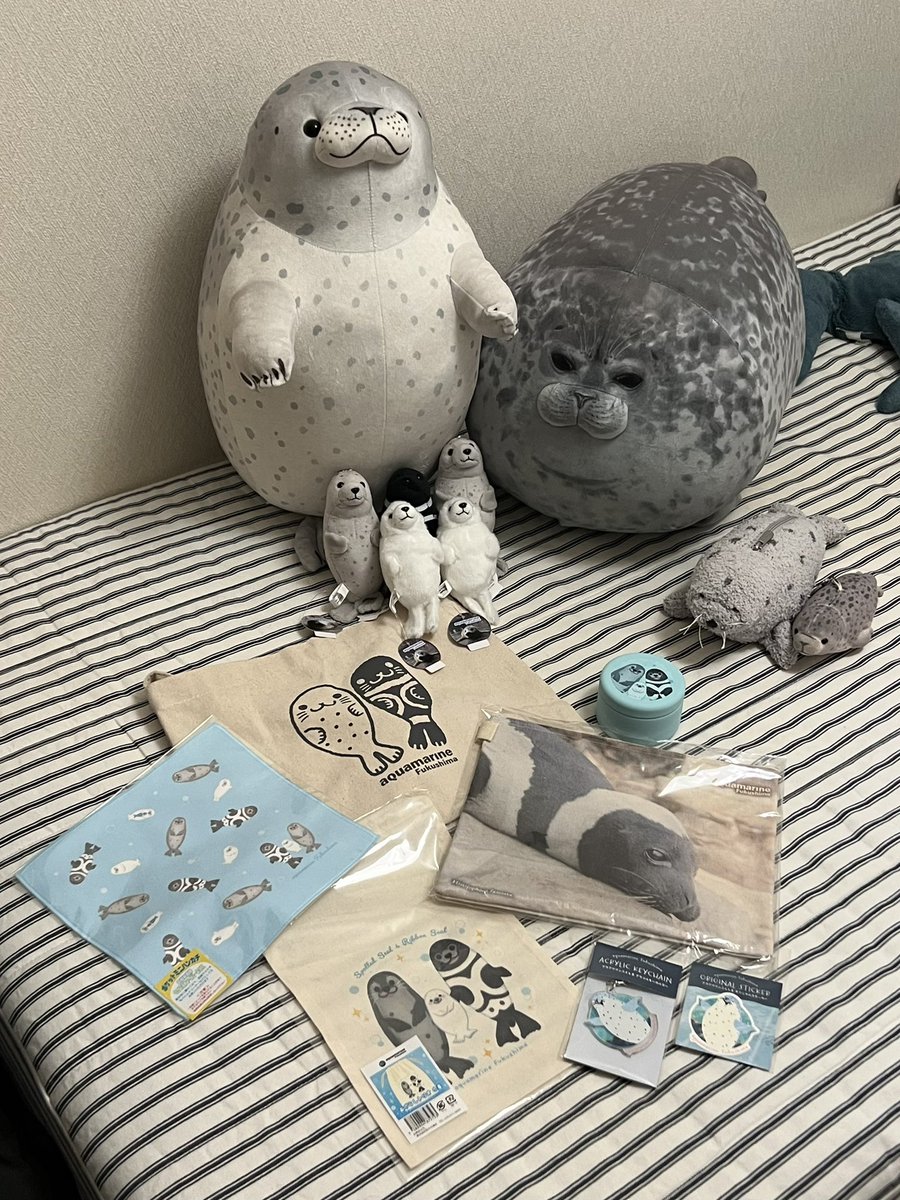 angajanga's tweet photo. アクアマリンふくしまでお迎えした天使たち…🦭

くらまるのグッズもお迎えできました。
いつまでも忘れないよ。

ぬいたちはどの仔もとっても可愛いです…🦭🫧
うちの先輩ぬいたちと仲良く遊ぼうね💭

#アクアマリンふくしま https://t.co/AxSY39iFdv