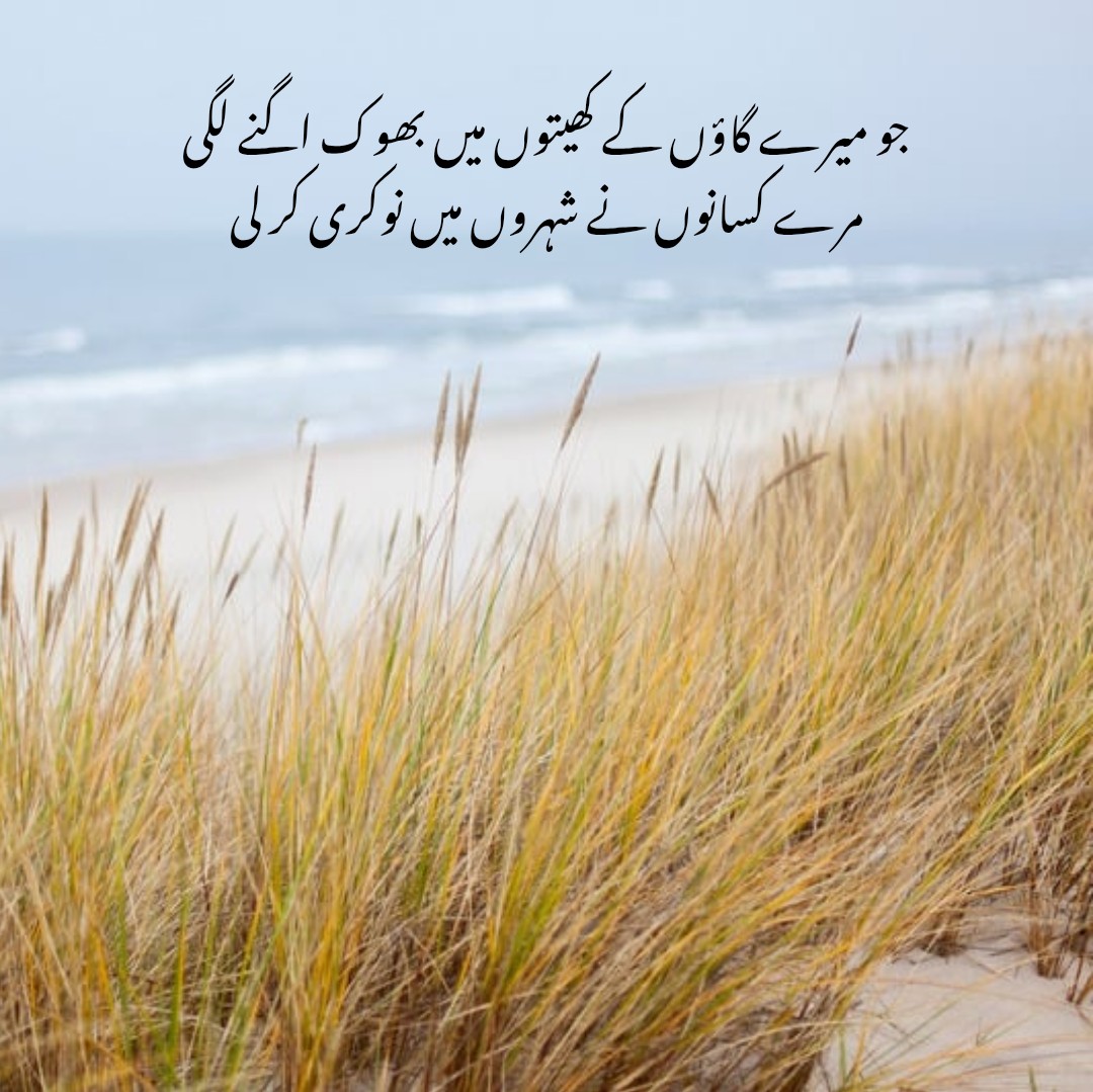 alahsanacademy's tweet photo. کیا خوبصورت درد بھری حقیقت بیان کی گئی ہے —
"جو میرے گاؤں کے کھیتوں میں بھوک اگنے لگی،
مرے کسانوں نے شہروں میں نوکری کر لی۔"
یہ شعر دل کو چھو جاتا ہے، دیہات کی محنت، غربت اور وقت کی مجبوریوں کا عکاس ہے۔
#Poetry #RealityLines https://t.co/v89Erv9qXS