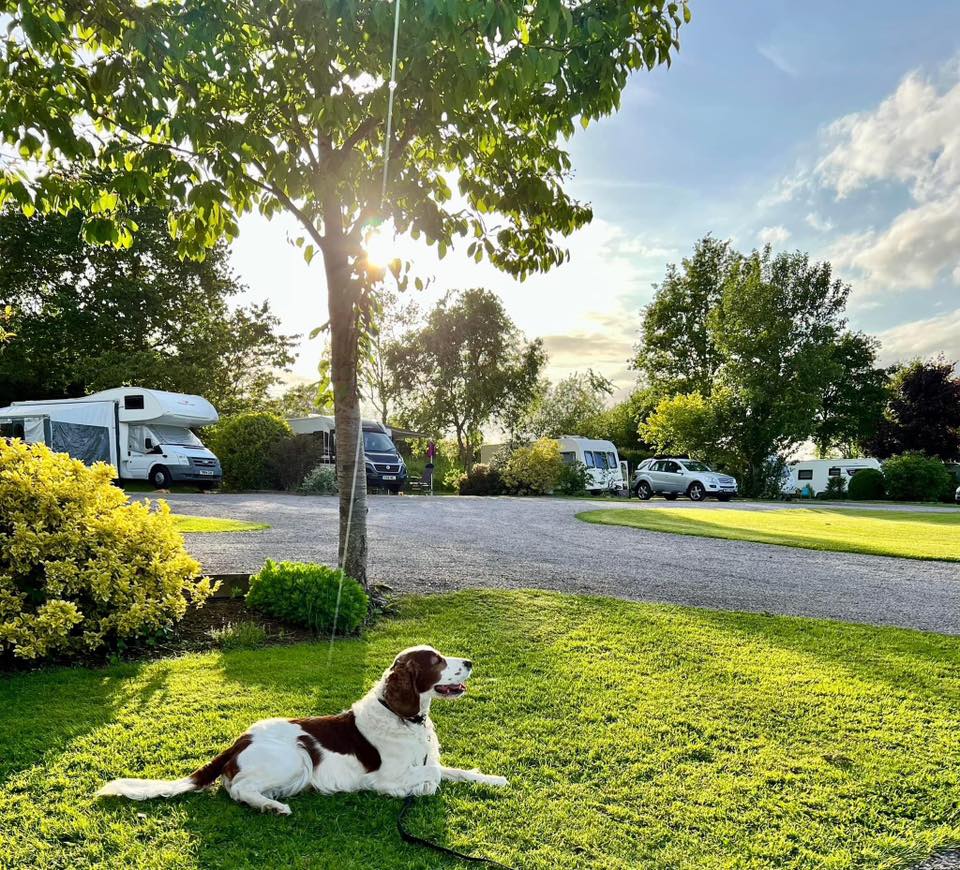 We have a winner! 🥳

The judge for the October photo comp was none other than our very own, very fabulous, Old Oaks manager Tara!

Her favourite photo was 'Brenin enjoying the last rays of the evening sun of autumn', entered by guest Sharon Howe!

Congratulations Sharon! 😊