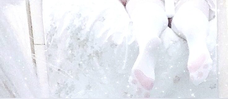 ✮⋆˙ 𝐌𝐀𝐒𝐎𝐍 𝓡 . tweet media