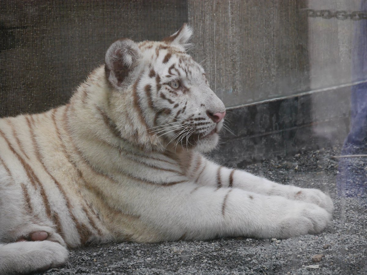 ミフォ (@6AF8ZOpkUA6829) / Posts / X