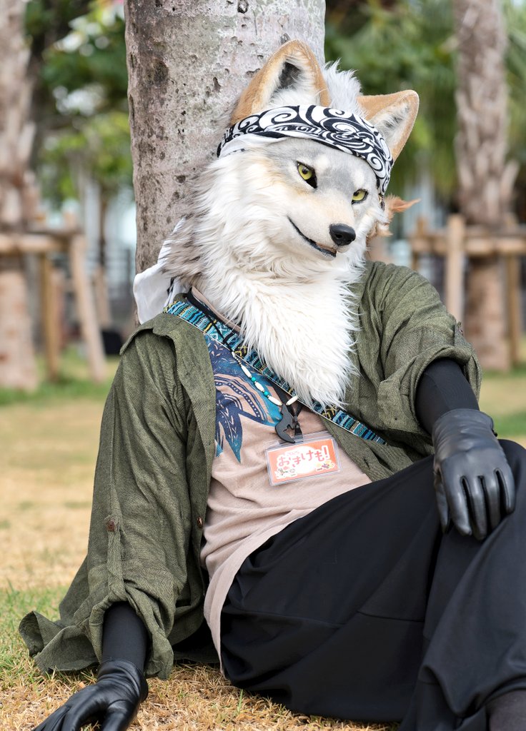 猫雪ちゃん(。-ω-)zzz🌞🐈️@シーエ非公認亜種 (@zzz52048303