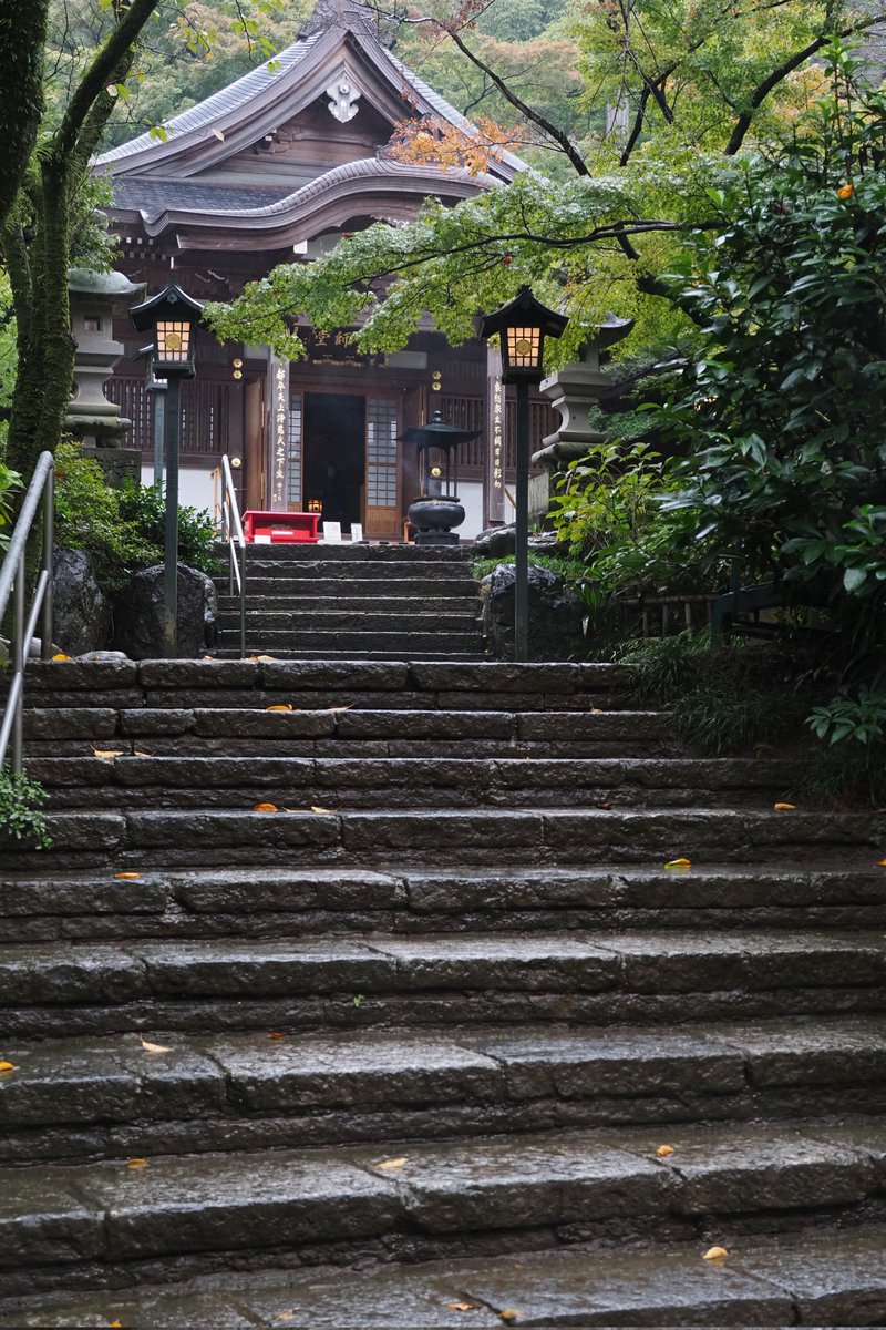 katabami8810's tweet photo. 雨がいい味出してくれて良かった https://t.co/m4kcRud2Rn