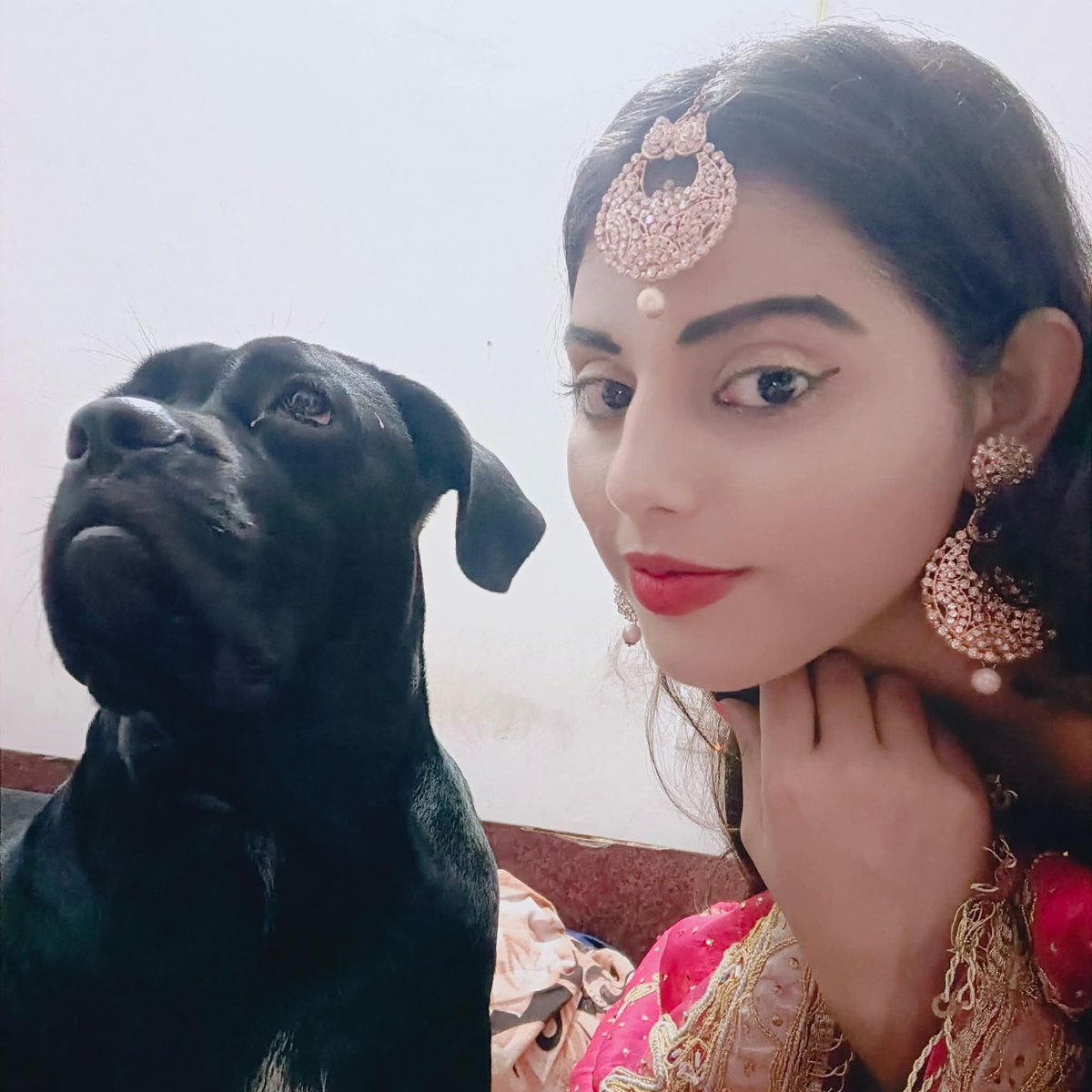 ShrutiSanjana1's tweet photo. My Baby 🫶🫶

#cancorso #canecorsopuppy #canecorso #canecorsolovers #insta #doglover #doglife #happy #smile https://t.co/XyAAFazGtt
