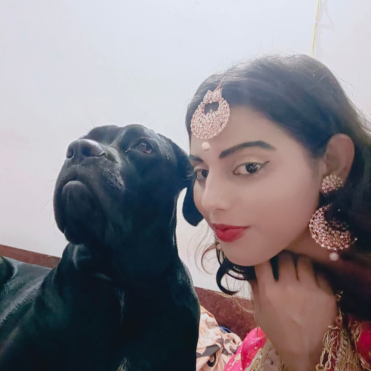 ShrutiSanjana1's tweet photo. My Baby 🫶🫶

#cancorso #canecorsopuppy #canecorso #canecorsolovers #insta #doglover #doglife #happy #smile https://t.co/XyAAFazGtt