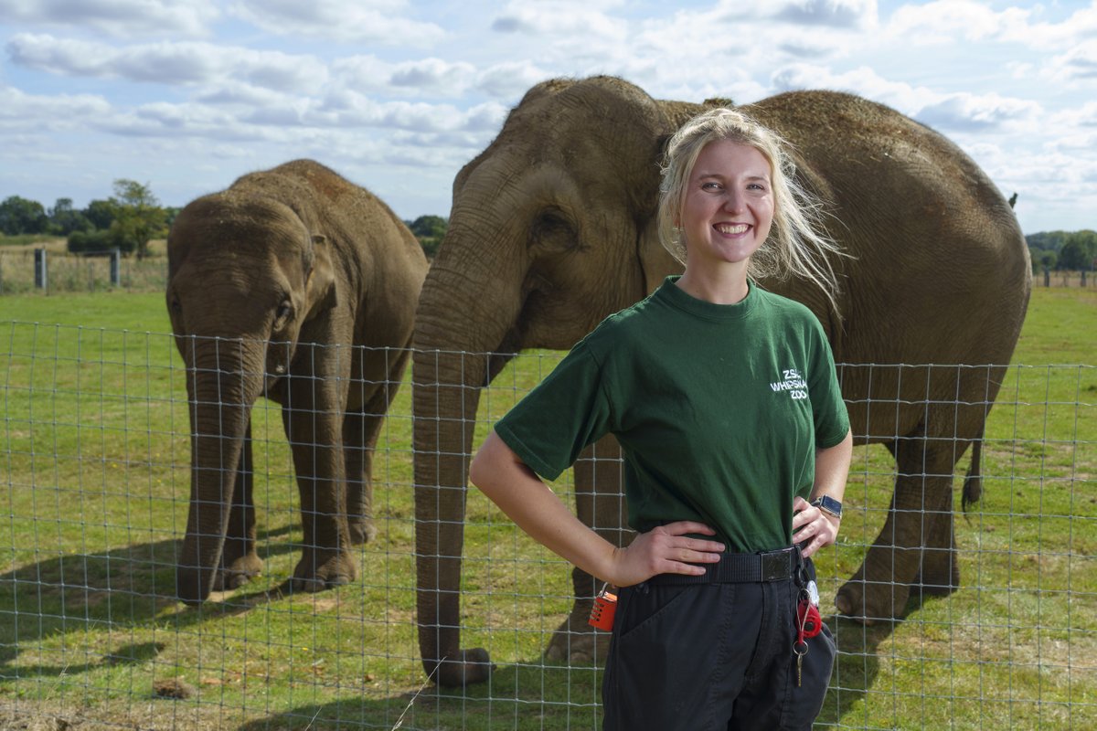 OfficialZSL's tweet image. The latest ZSL Annual Report is here! Over the past year we’ve reintroduced species to the wild, safeguarded others from extinction and inspired millions at our Zoos. To our supporters: thank you, we couldn’t do it without you! Read more here zsl.org/annualreport