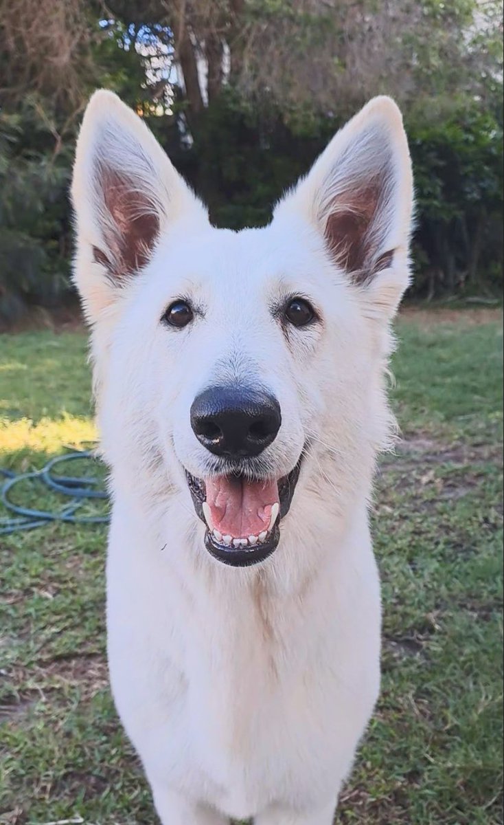 Angie Baby Don't Cry🤍
youtube.com/watch?v=ABbBTb…